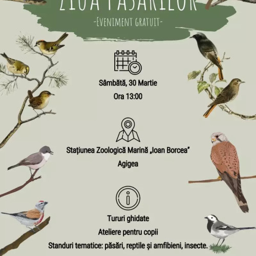 Eveniment gratuit la Stațiunea Zoologică Marină „Ion Borcea” Agigea de Ziua Păsărilor - O după-amiază dedicată educației non-formale în mijlocul naturii