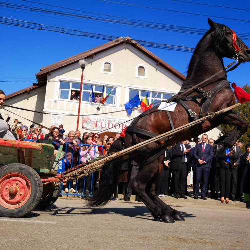 Tudorița aduce un spectacol unic, oferit târgoviștenilor și de această dată în România