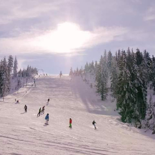 Condiţiile de schi în România: Tarife reduse la transportul pe cablu şi pârtii bine pregătite în Postăvarul şi alte zone