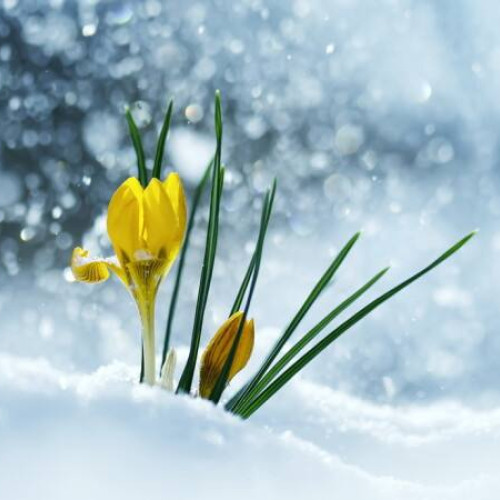 Astăzi, vremea se va înrăutăți în zona montană dâmbovițeană, sub un Cod Galben de ninsori și vânt. Avertizarea ANM este valabilă până mâine seară.