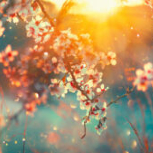 Prognoza ANM: Vremea din martie și aprilie aduce temperaturi mai ridicate și ploi la munte