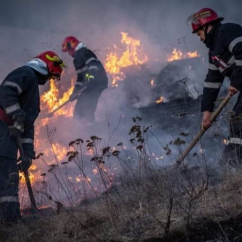 Harghita vrea sa reduca numarul arderilor de vegetatie uscata