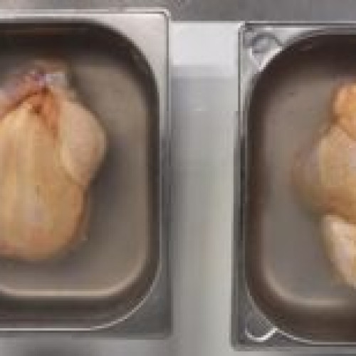 Preşedintele ANPC avertizează despre puii vopsiţi şi împănaţi cu tulpini de sallmonela periculoase.