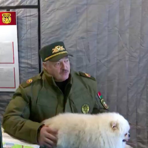 Știre video virală din Belarus: Dictatorul Lukașenko discuta cu generalii despre atacarea Poloniei în timp ce ține în brațe câinele său pufos, Umka