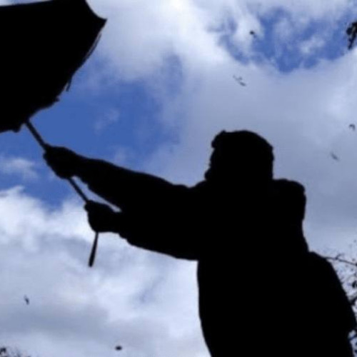 Avertizare meteorologică de vânt în România - Zone afectate și perioadă prelungită