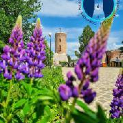 Programul de Vară pentru Museele din Târgoviște în 2024