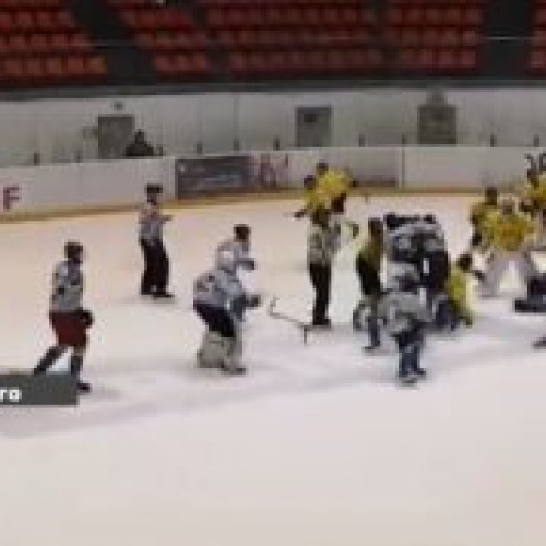 Journal title format:"Bataie generală la meciul de hochei sub 15 ani din Brasov - Poliția s-a autosesizat și va lua măsuri