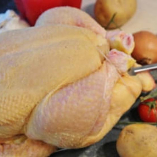 DSVSA Dâmbovița dezaprobă comercializarea puiilor de găină îngălbeniți împreună cu Salmonella, autoritățile asigurând consumatorii că carnea de pasăre introdusă pe piață este sigură.