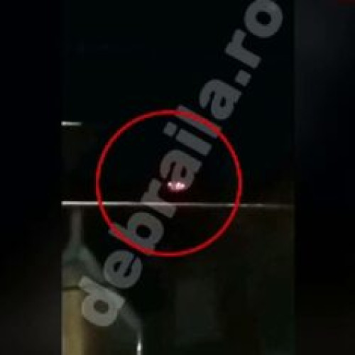 Armata Română Caută Dronă Căzută în Zona Izolată din Insula Mare a Brăilei