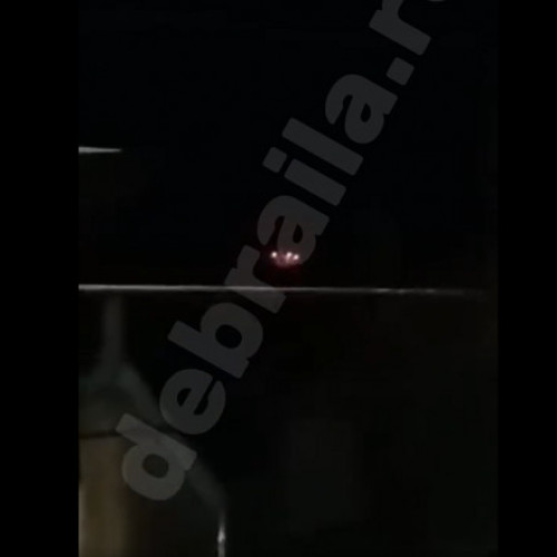 Armata României Caută Dronă Prăbușită în Insula Mare a Brăilei, După Reclamațiile Locuitorilor