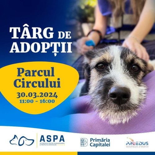 Primul târg de adopții în aer liber din acest an în Parcul Circului, organizat de Primăria Municipiului București. 15 căței propuși pentru adopție sunt gata pentru o nouă casă.
