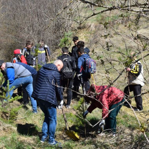 Piatra Curată, ediția a XI-a, începe cu o acțiune de plantare pe Muntele Cârlomanu