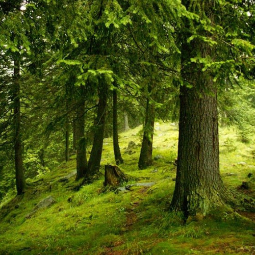 Anunț privind program de pregătire a profesorilor din liceele agricole