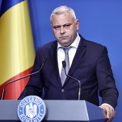 Asigurări privind siguranța produselor din carne de pui: Fermierii români produc pui de calitate cu porumb și piață de vânzare în Franța