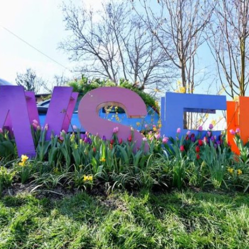 200+ Comercianți români înscriși la West Side Flower Fest 2024