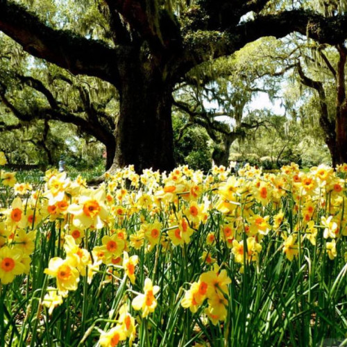 Temperaturile Scad De Marți, După Zilele Călduroase Din Martie