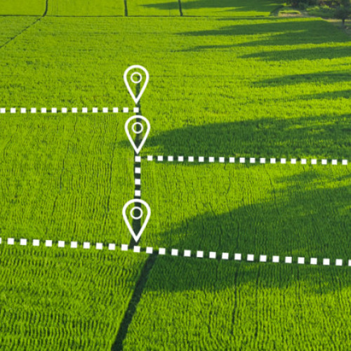 Oamenii dintr-un sat din Argeș au început să-și împartă un teren public după ce un candidat la locale le-a promis "pământ gratuit"