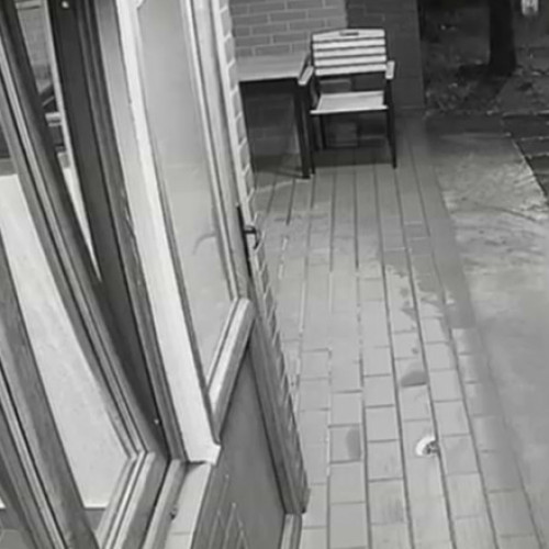 Tânăr din Ilfov reţinut pentru incendierea unui bar după pierderea unei sume importante la jocuri.