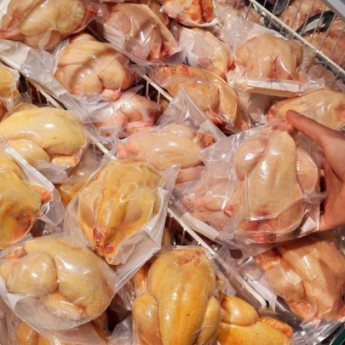 Pui cu salmonella provenit din Ungaria și Polonia și ferme din România, retras de pe piață. Ce spune ANPC despre „puiul vopsit”