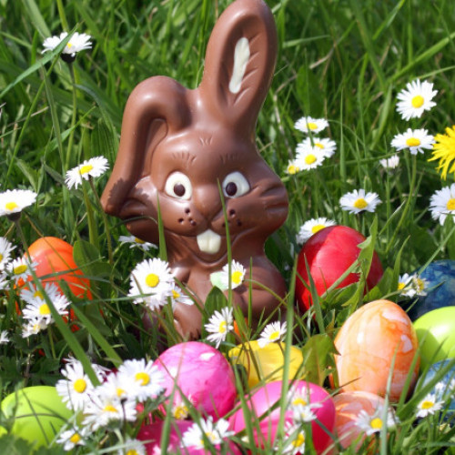 Iepurașii și ouăle de ciocolată vor costa mai mult de Paște. Cotațiile la cacao s-au dublat și e doar începutul