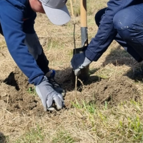 Plantarea de copaci în apropierea rezervației naturale Bavna, o acțiune organizată de polițiști, specialiști silvici și copii