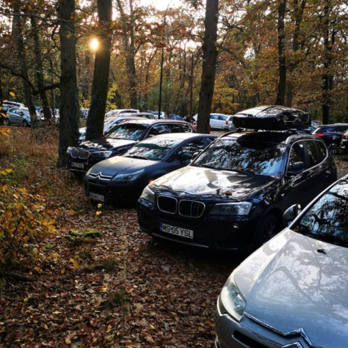 Prelungirea plafonării polițelor RCA cu 3 luni aprobată de Guvernul Român