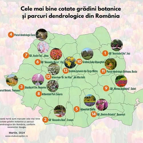 Parcul dendrologic din topul celor mai frumoase grădini și parcuri din România: Carei în top pe Google Maps