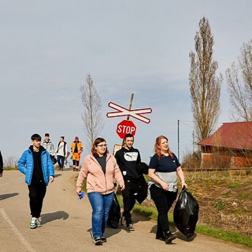 Tinerii Liberali au organizat o acțiune de ecologizare în comuna Moftin