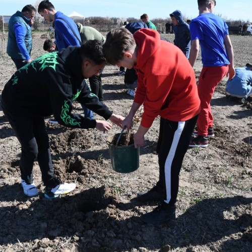 Acțiune de împădurire a Direcției Silvice Dâmbovița în colaborare cu Garda de Mediu pentru Lunii Plantării Arborilor la Liceul "Ion Ghica" din Răcari