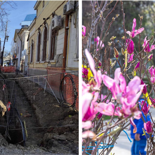 Ce vor primi locuitorii de pe strada Domnească în schimbul teilor? De la administrație încă așteaptă peisajul modern! În sfârșit, arbori noi pentru inimile gălățenilor.