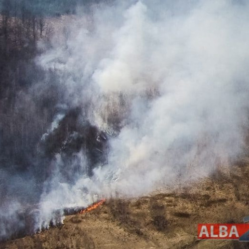 Vegetație incendiată în Apuseni: Pompierii intervind pentru stingerea focului la marginea unei păduri de la Vadul Moților