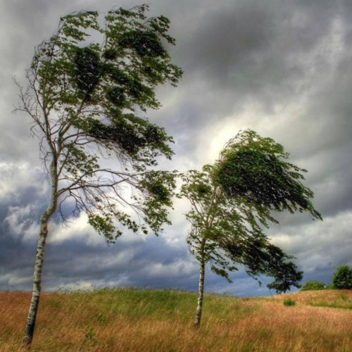 Coduri de avertizare meteo în România: Vânt puternic în toată țara, urmate de furtuni și ploi în unele zone.