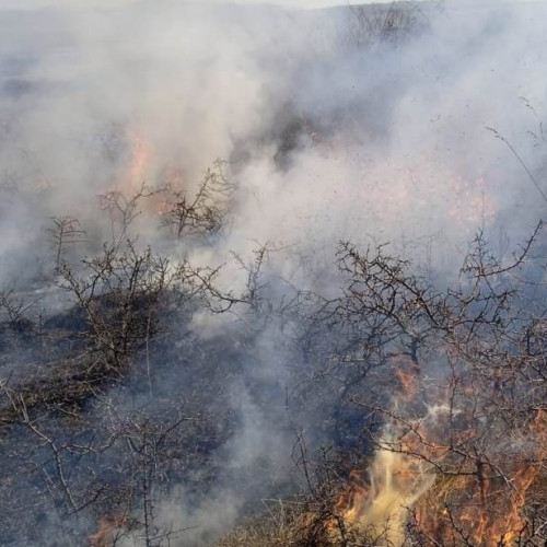 Pompierii Alba avertizează asupra pericolului incendiilor de vegetație. Apel către locuitorii județului pentru respectarea regulilor.