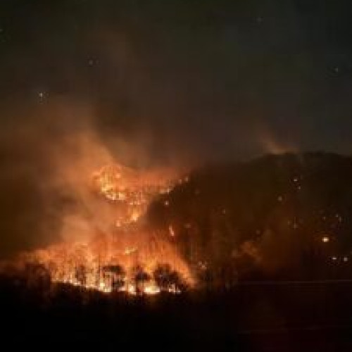 Intervenție îngreunată în Munții Făgăraș, deoarece echipajele de pompieri au avut dificultăți în accesul la un incendiu puternic de fond forestier, în zona Victoria - Valea Ucea Mare/ Pădurea Gardomani. Foc are și în a doua noapte consecutivă, la o suprafață de aproximativ 10 hectare. Situația a fost raportată de un localnic, apelând numărul unic de urgență 112. Purtătorul de cuvânt al ISU Brașov, Ciprian Sfreja, a declarat că terenul greu accesibil și vântul puternic au dificultat intervenția echipajelor, care au trebuit să meargă