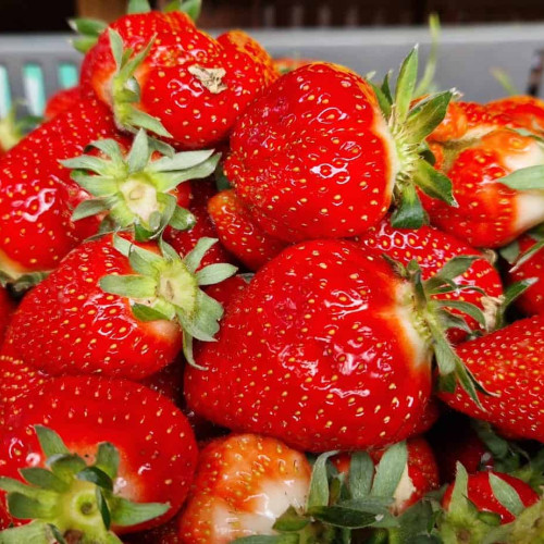 Pericolul căpșunelor din Grecia pentru sănătate: Pesticid neautorizat în UE duce la retragerea fructelor de pe piață de către ANSVSA