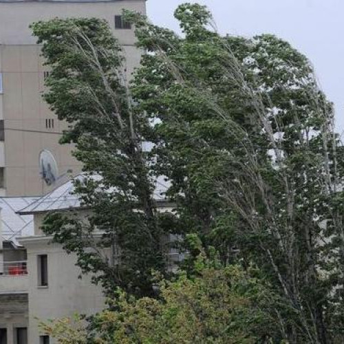 Vântul puternic afectează mai multe localități din Harghita și provoacă avarii la energie electrică