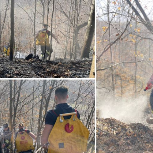 Incendiu de litieră în Dofteana, intervenția pompierilor se prelungește