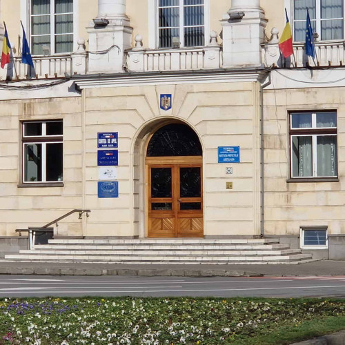 Asistenții personali ai persoanelor cu dizabilități din Alba Iulia protestează pentru drepturile lor