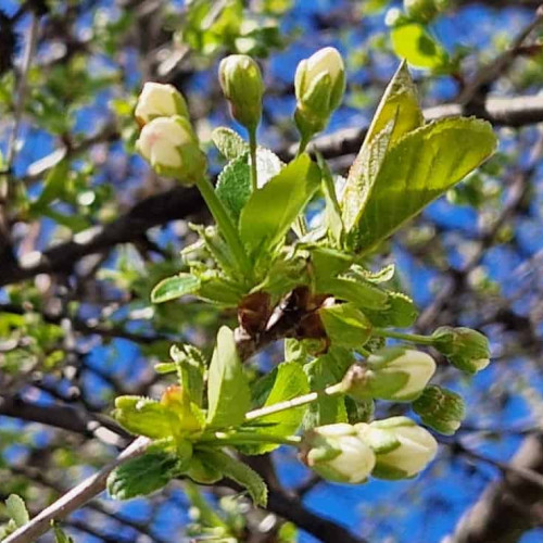 Minivacanța de Paște 2024 pentru angajații României