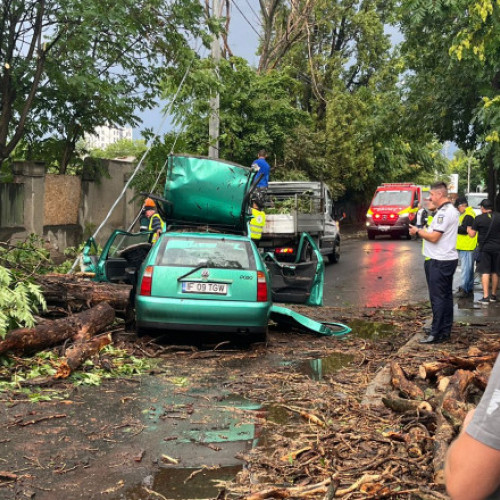 Vântul puternic provoacă pagube în București: Copaci și stâlpi doborâți, intervenții ale pompierilor și probleme cu tramvaiele