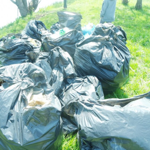 Harghita: Cantitate Mare de Gunoi Strânsă de pe Drumuri Naționale în 2023