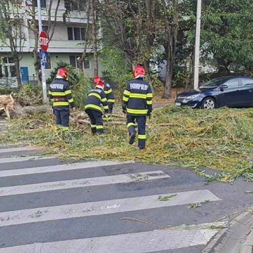 Vijelie puternică la Satu Mare: Copac, panou publicitar și fire de curent căzute