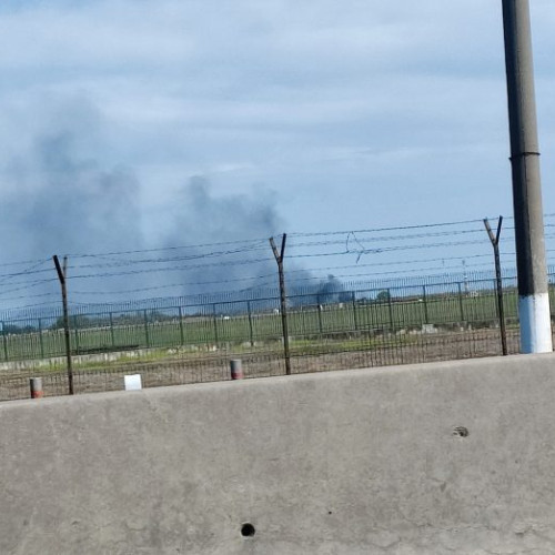 Incendiu de vegetaţie în Otopeni, suprafata de 1.000 mp afectata, adăpost pentru oi în pericol