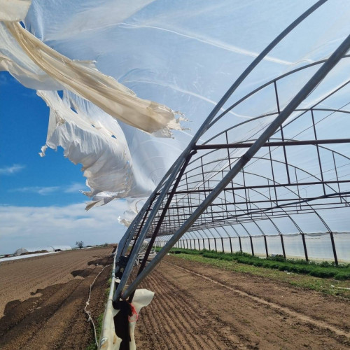 Vântul puternic distruge serele legumicultorilor din Băleni: nevoie de ajutor și solidaritate în comunitate