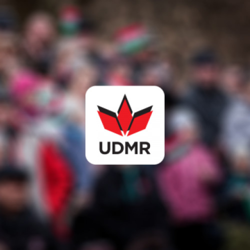 Adoptarea legii privind protecția copilului, împiedicată de UDMR