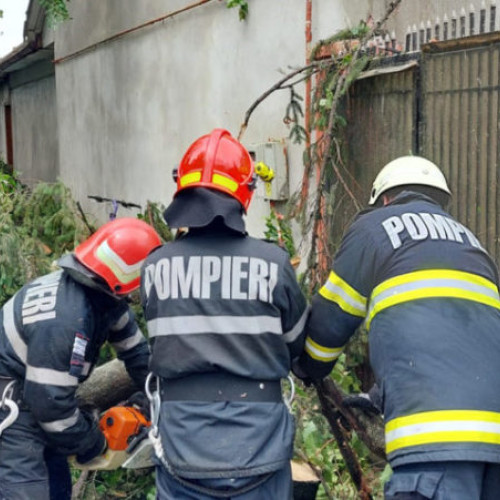 Vânt puternic în județul Mureș: copaci căzuți, construcții îndepărtate de pompieri