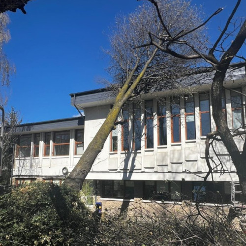 Copac cazut peste clădirea universității din Suceava, cod portocaliu de vânt miercuri după-amiază, tir răsturnat pe centura de ocolire