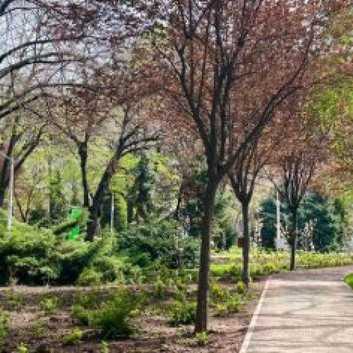Parcul Regina Maria, reamenajat cu plante diverse, în ciuda deciziei Consiliului Local Sector 1