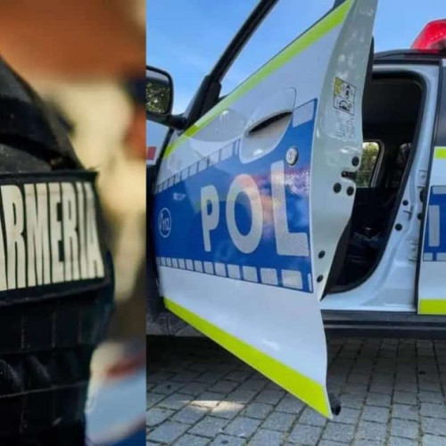 Amenzi și permise reținute în urma verificărilor efectuate de polițiști și jandarmi în Alba