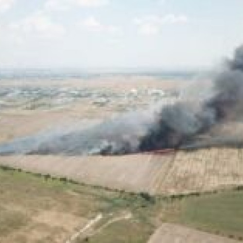Saivan de oi scăpat întreg de flăcările unui incendiu de vegetație din apropierea Aeroportului Otopeni. Operațiune de stingere de succes: 1000 mp afectați!